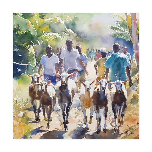 Tobago Goat Race Art print- Matte Canvas, Stretched, 1.25"