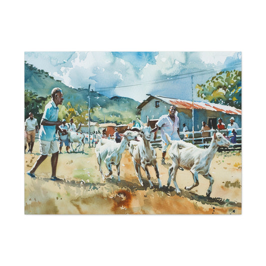 Tobago Goat Race (horizontal) Art print- Matte Canvas, Stretched, 1.25"