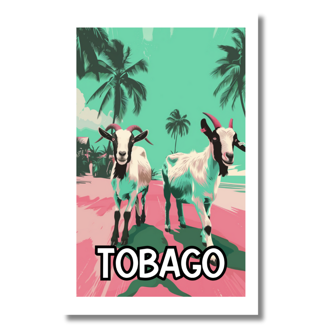 Tobago About the goats Postcard